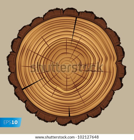 Cross Section Tree Stump Isolated On Stock Vector 102127648 - Shutterstock