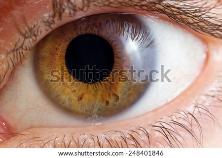 Human Eye Stock Photos, Images, & Pictures | Shutterstock