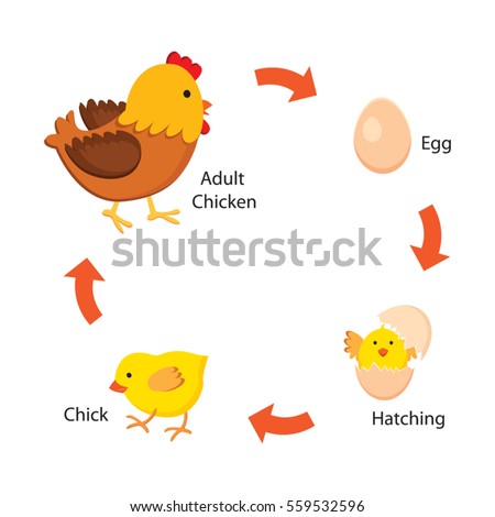 graphic-line's Portfolio on Shutterstock