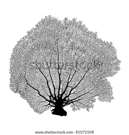 Coral Sea Fan silhouette vector