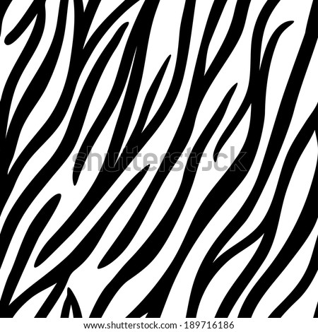 Zebra Print Zebra Stripes Black White Stock Vector 384019546 - Shutterstock