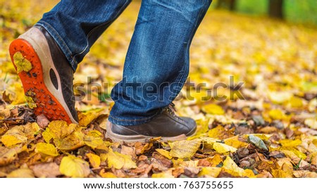 The Girls Girlfriends Hot Girls On Nature Park Among Leaves The Girls Girlfriends Hot Girls On Nature Park Among Leaves