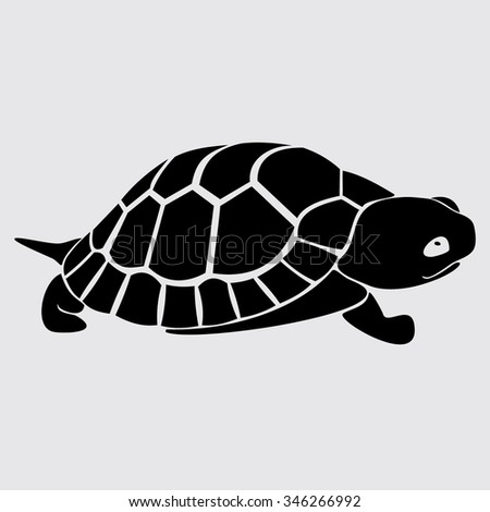 Sea Turtlesisolated On White Background Stock Illustration 412468150