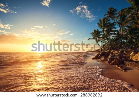 Dominican Stock Images, Royalty-Free Images & Vectors | Shutterstock