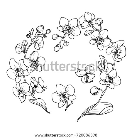 Ink Pencil Black White Flower Sketchtransparent Stock Vector 720086398 ...