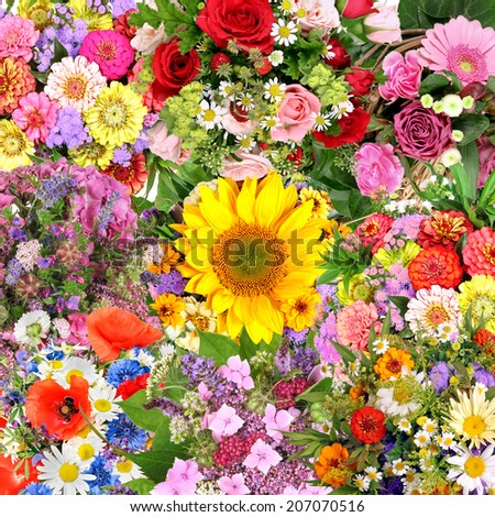 Background Image Colorful Flowers Stock Photo 95671816 - Shutterstock