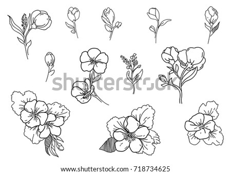 Graphic Handdrawn Set Small Flowers Buds Stock Vector 718734625 ...