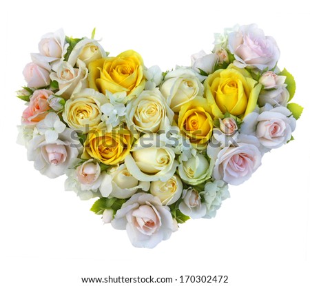 Roses flowers heart shape isolated. - stock photo