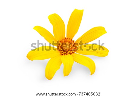 Png Stock Images, Royalty-Free Images & Vectors | Shutterstock