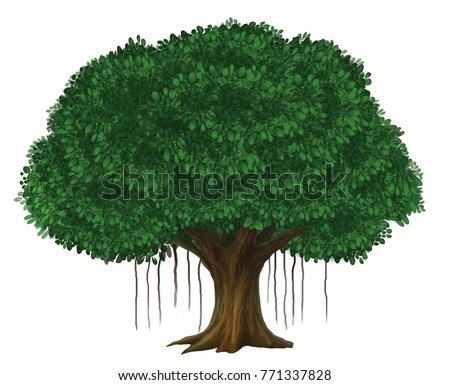 Banyan Tree Illustration Banyan Tree Illustration