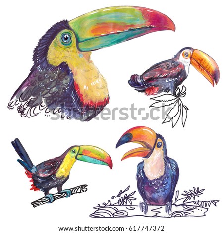 painted bird essays painted bird essays
