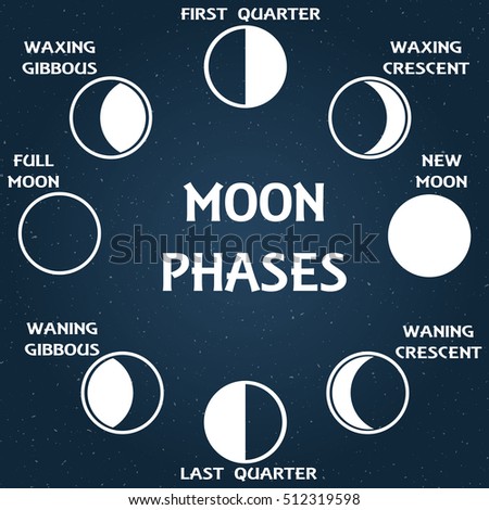 stock vector the phases of the moon vector illustration 512319598