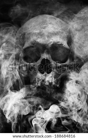 Fleshless To Kill For Skin Fleshless To Kill For Skin