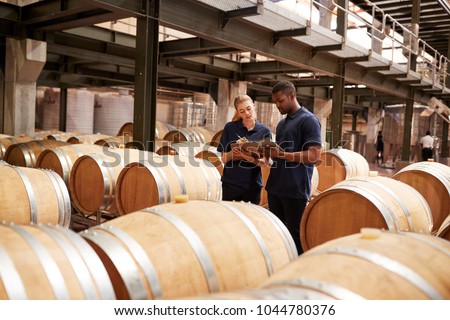 Two staff inspecting barrels in a wine factory warehouse