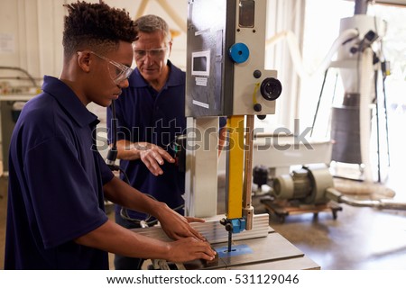 the bipolar teen adult apprentice carpenter