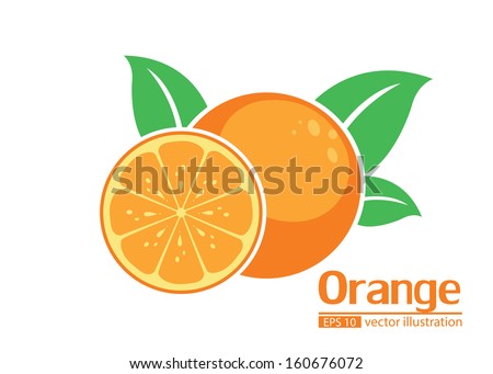 orange illustrator vector