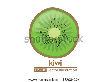 kiwi vector