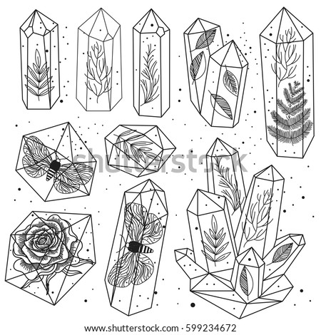 Set of hand drawn line art crystals and leafs, moths, rose inside gems, isolated objects. Black and white transparent terrariums. Magic fairytale Halloween theme. Vector illustration.