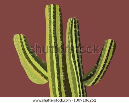 Cactus Needles Stock Images, Royalty-Free Images & Vectors ...