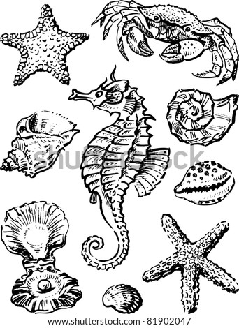 Sea Animal Tribal Tattoo Set Stock Vector 105769100 - Shutterstock