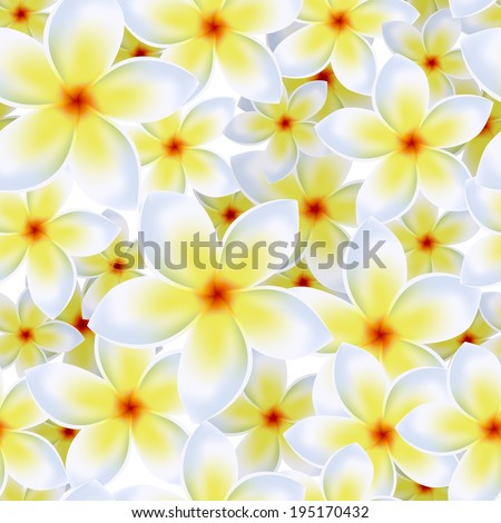 Plumeria Flower Stock Vectors & Vector Clip Art | Shutterstock