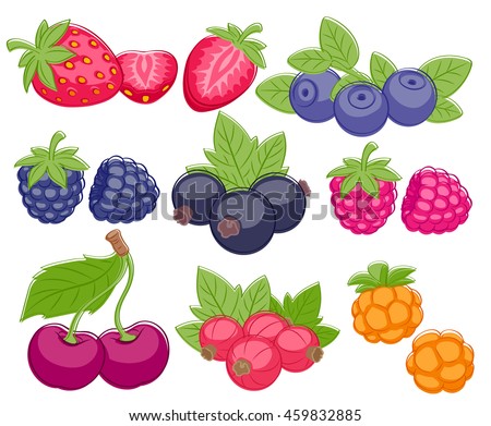 Assorted Berries Set Vector Illustration Sweet Stock Vector 459832885 ...