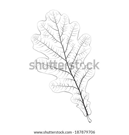 Oak Leaf Icon Vector Stock Vector 500578576 - Shutterstock