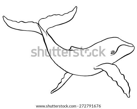 Vector Illustration Bird Design Set Made Stock Vector 37335565 ...