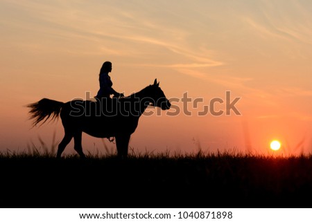 Love Horse Romantic Concept Graceful Girl Stock Photo (Edit Now ...