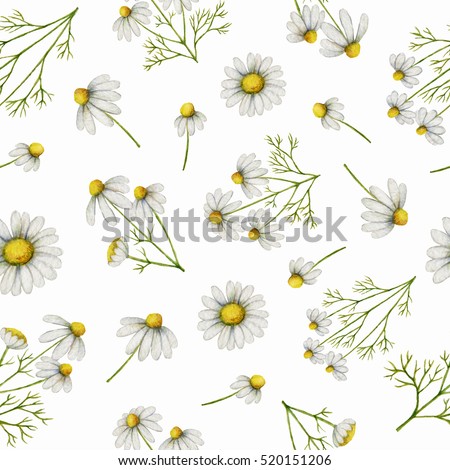 Watercolor seamless pattern with daisy flowers and branches. Background for textile, paper and other print and web projects.
