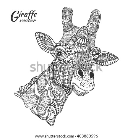 Giraffe Color Stock Photos Royalty-Free Images Vectors