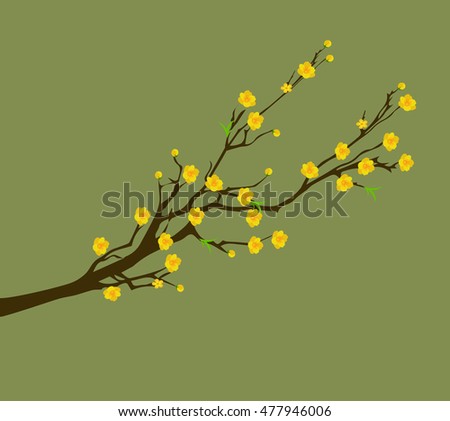 Yellow Apricot Flower, traditional lunar new year in Vietnam