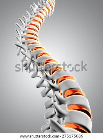 3D render of a close up of a spine with the discs highlighted