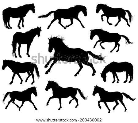 Trotting Horse Silhouette Stock Photos, Images, & Pictures | Shutterstock