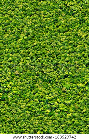 Trees Topview Forest Seamless Texture Stock Photo 183529742 - Shutterstock