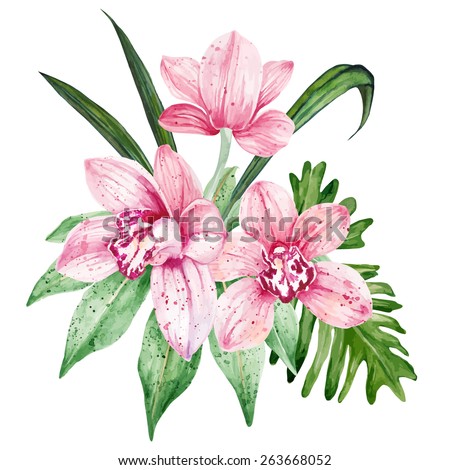 Watercolor pink Orchid flowers. Vector illustration