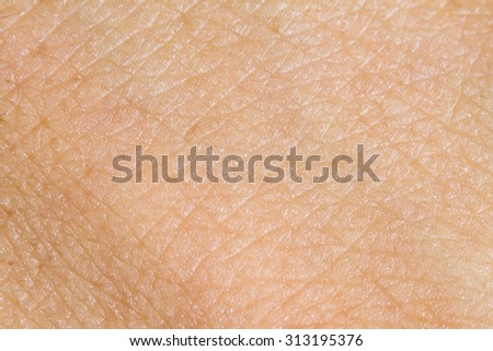 background of the human skin macro stock photo 156617564 human skin texture stock images royalty free images vectors background of the human skin macro stock photo 156617564 human skin texture stock images royalty free images vectors