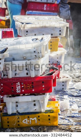 VUNG TAU, VIETNAM - AUG 23,2015: Fish in plastic trays containing chilled with ice on beach
