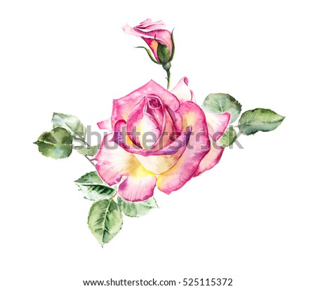 Rosebush Pattern Pink Rose Wedding Drawings Stock Illustration ...