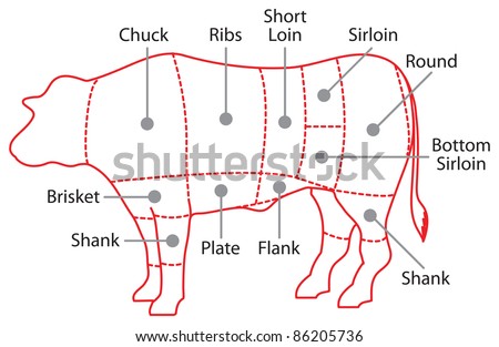 Meat diagram Stock Photos, Images, & Pictures | Shutterstock