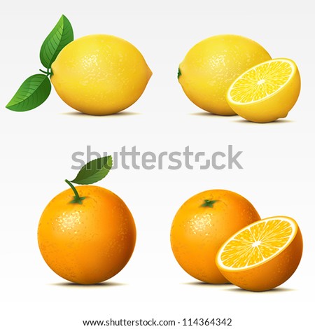 Collection of fruits on white background Mesh.