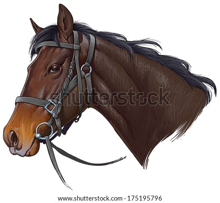 Brown Horse Head Stock Vectors & Vector Clip Art | Shutterstock