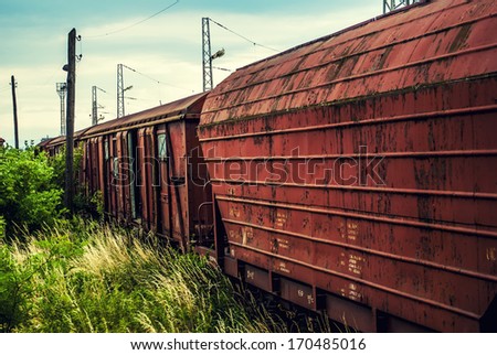 Collection Vintage Wooden Weathered Skis Front Stock Photo 