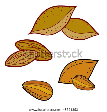 Vector Set Almond Illustration Stock Vector 45791353 - Shutterstock