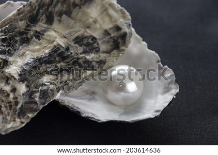 Precious pearl. A giant pearl with a beautiful diamond mounted.
