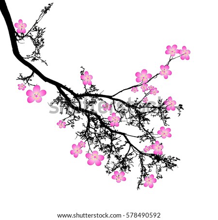 Vector Illustration Cherry Blossom Branch Stock Vector 561205435 ...