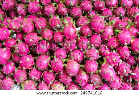 Dragon fruit , tropical fruit displayed at Vinh Long fruit market, Mekong delta. The majority of Vietnam's fruits come from the many orchards of the Mekong Delta