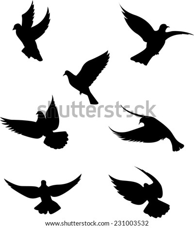Black Doves On White Background Stock Illustration 231003532 - Shutterstock