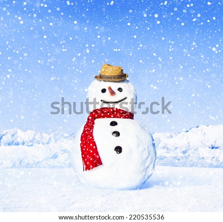Real Snowman Real Snowman