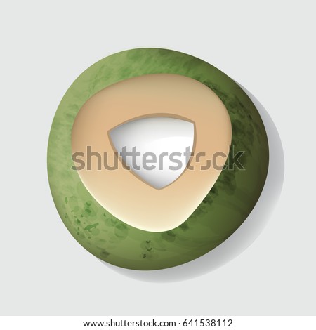 Fresh Cut Open Coconut Vector Illustration